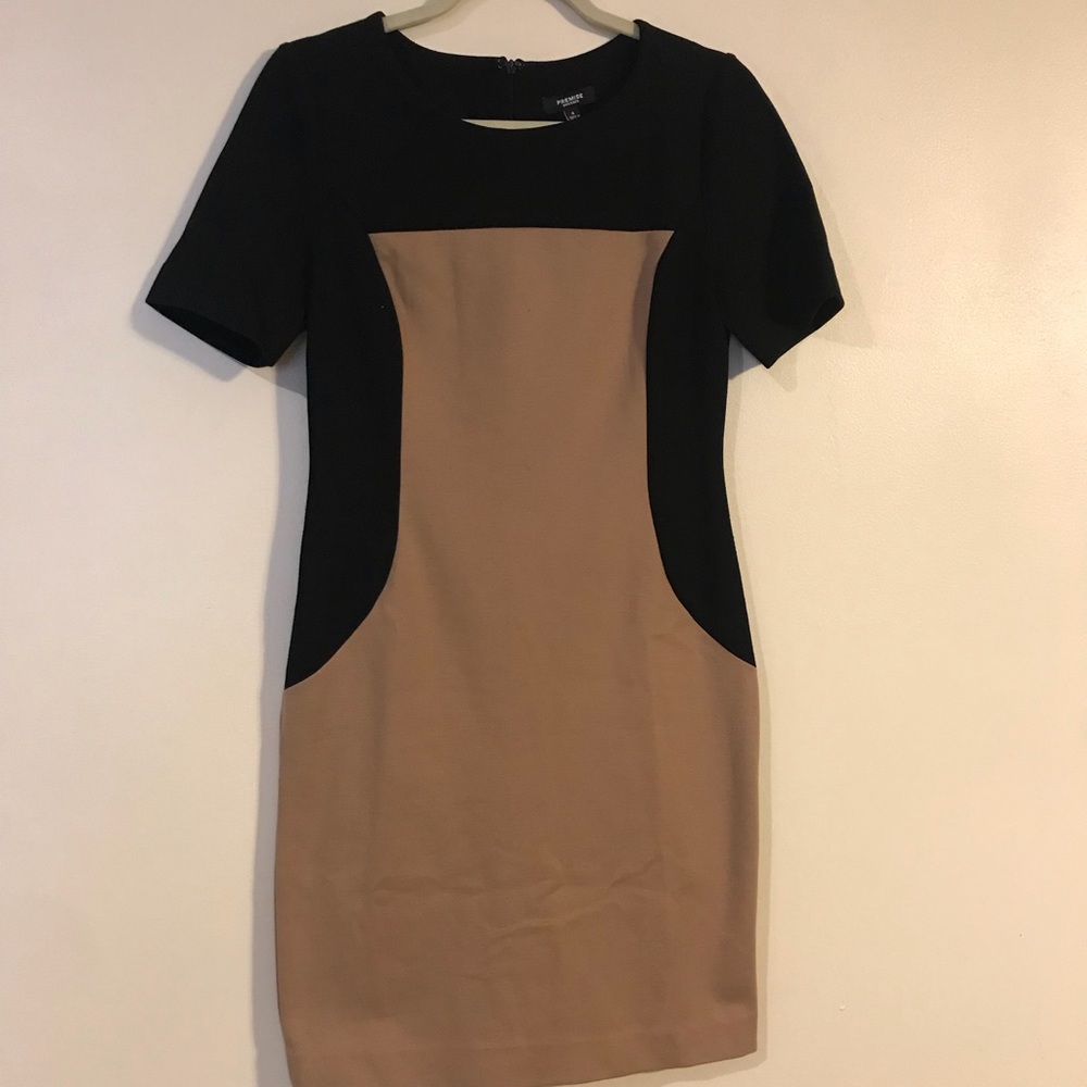 Premise fitted dress